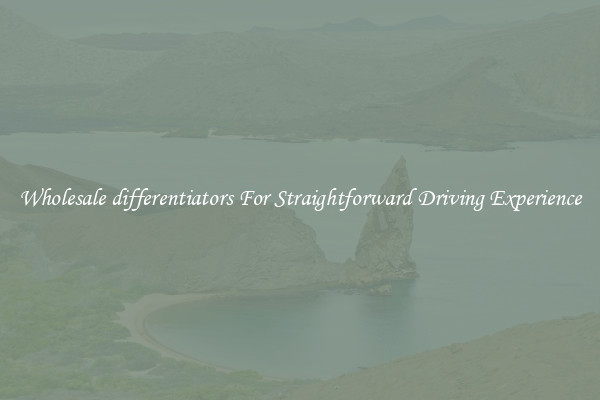 Wholesale differentiators For Straightforward Driving Experience