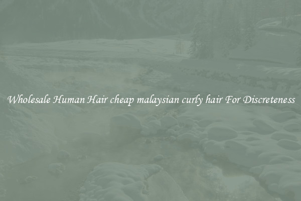 Wholesale Human Hair cheap malaysian curly hair For Discreteness