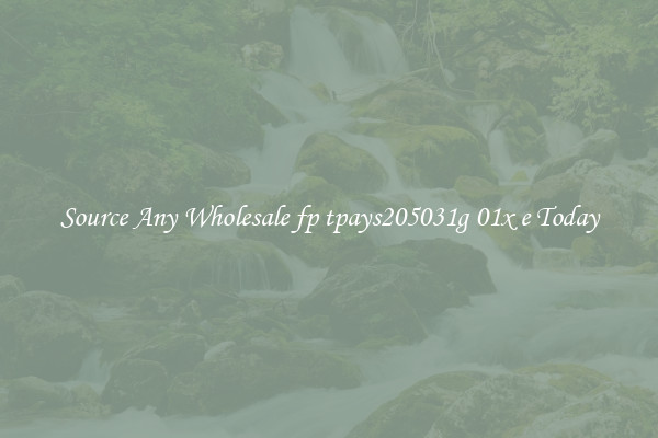 Source Any Wholesale fp tpays205031g 01x e Today