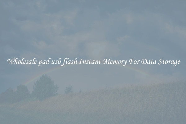 Wholesale pad usb flash Instant Memory For Data Storage