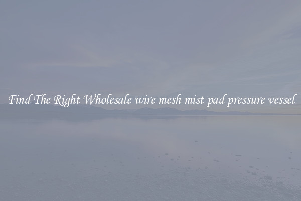 Find The Right Wholesale wire mesh mist pad pressure vessel
