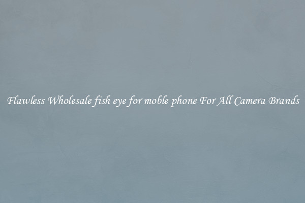 Flawless Wholesale fish eye for moble phone For All Camera Brands