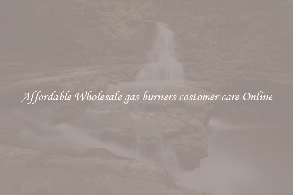 Affordable Wholesale gas burners costomer care Online