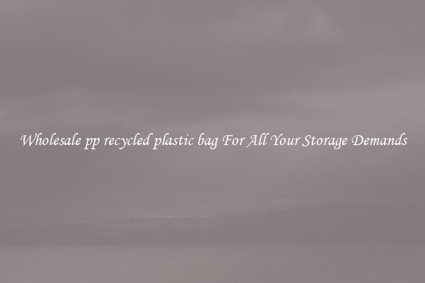 Wholesale pp recycled plastic bag For All Your Storage Demands
