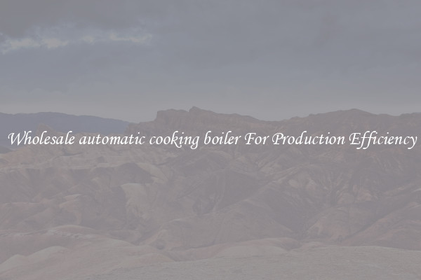 Wholesale automatic cooking boiler For Production Efficiency