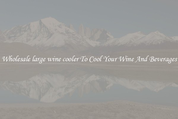 Wholesale large wine cooler To Cool Your Wine And Beverages