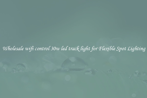 Wholesale wifi control 30w led track light for Flexible Spot Lighting