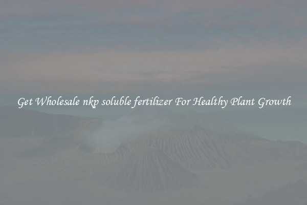 Get Wholesale nkp soluble fertilizer For Healthy Plant Growth
