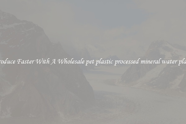 Produce Faster With A Wholesale pet plastic processed mineral water plant