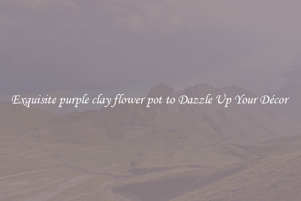 Exquisite purple clay flower pot to Dazzle Up Your Décor 