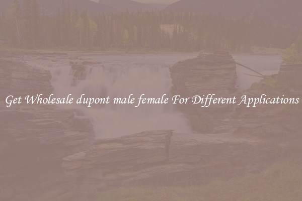 Get Wholesale dupont male female For Different Applications
