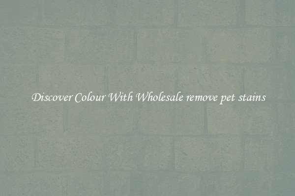 Discover Colour With Wholesale remove pet stains