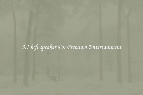 5.1 hifi speaker For Premium Entertainment