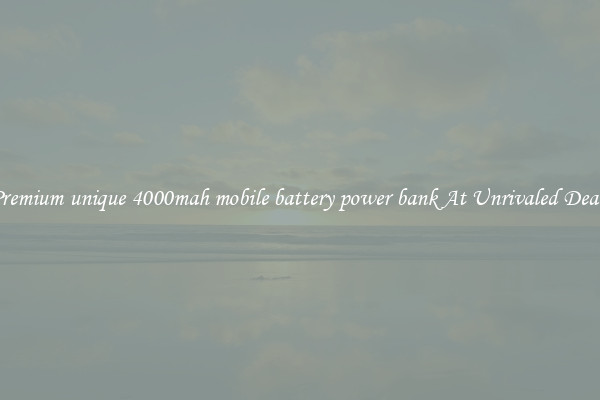 Premium unique 4000mah mobile battery power bank At Unrivaled Deals