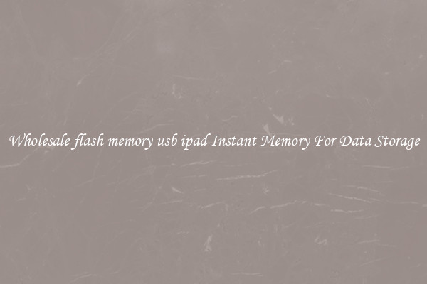 Wholesale flash memory usb ipad Instant Memory For Data Storage